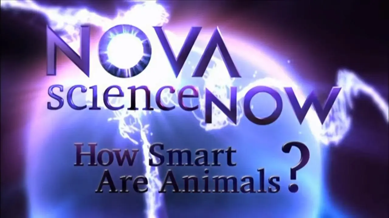 Nova Science Now: How Smart Are Animals?_peliplat