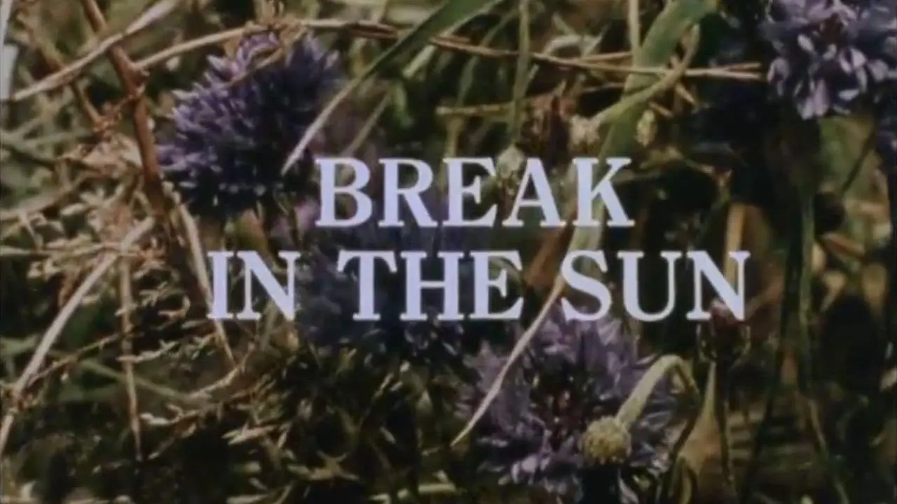 Break in the Sun_peliplat