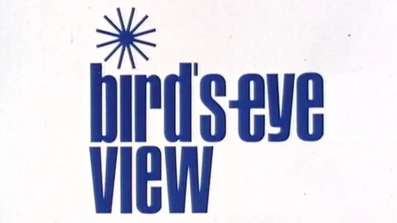 Bird's-Eye View_peliplat