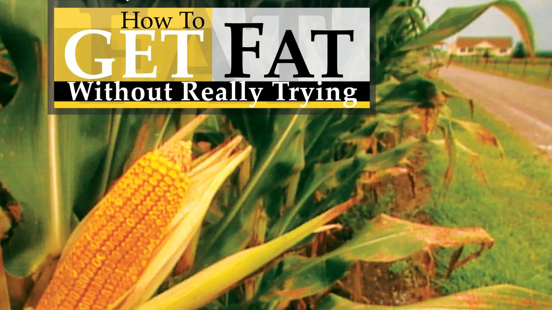 Peter Jennings Reporting: How to Get Fat Without Really Trying_peliplat