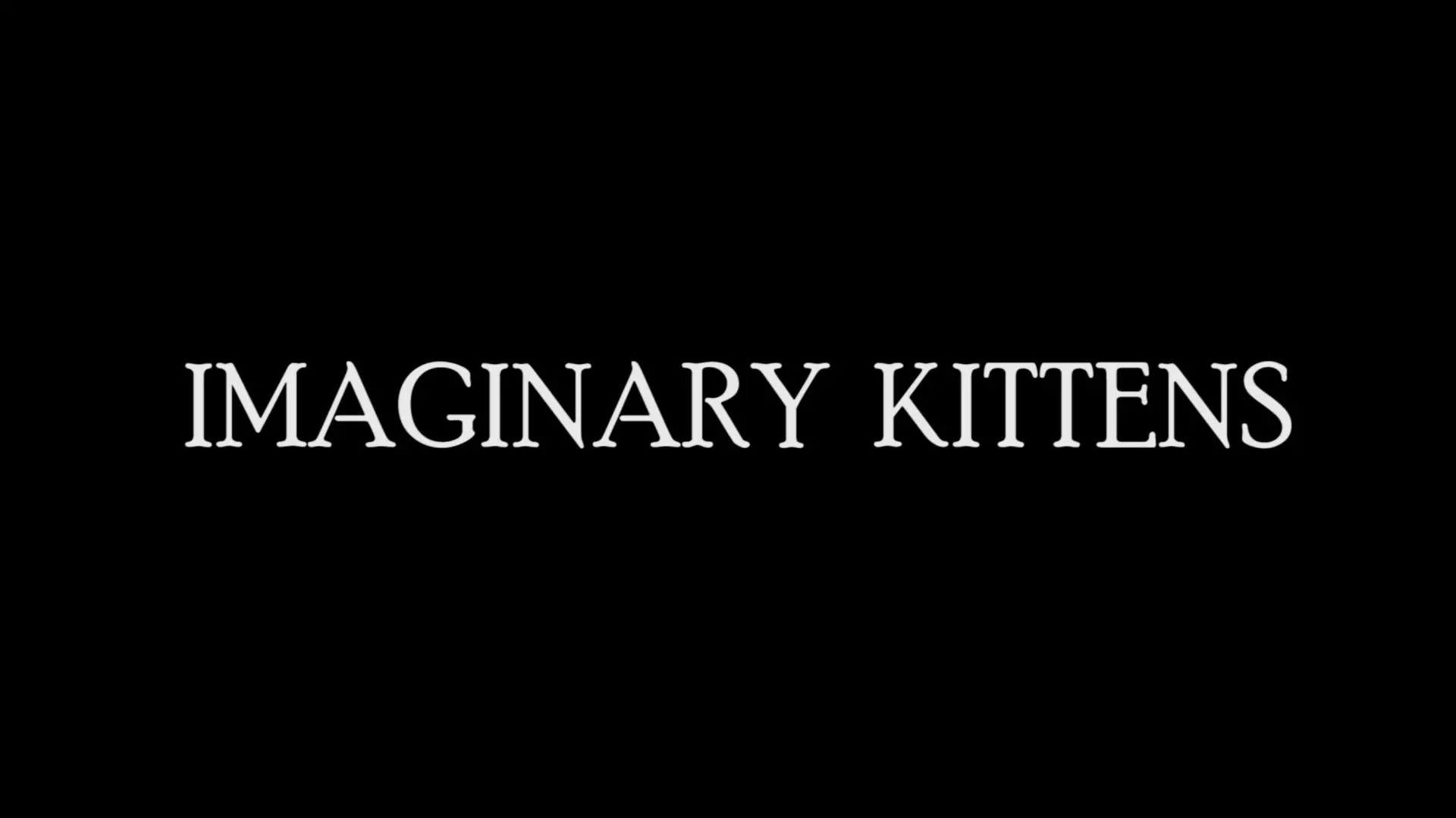 Imaginary Kittens_peliplat