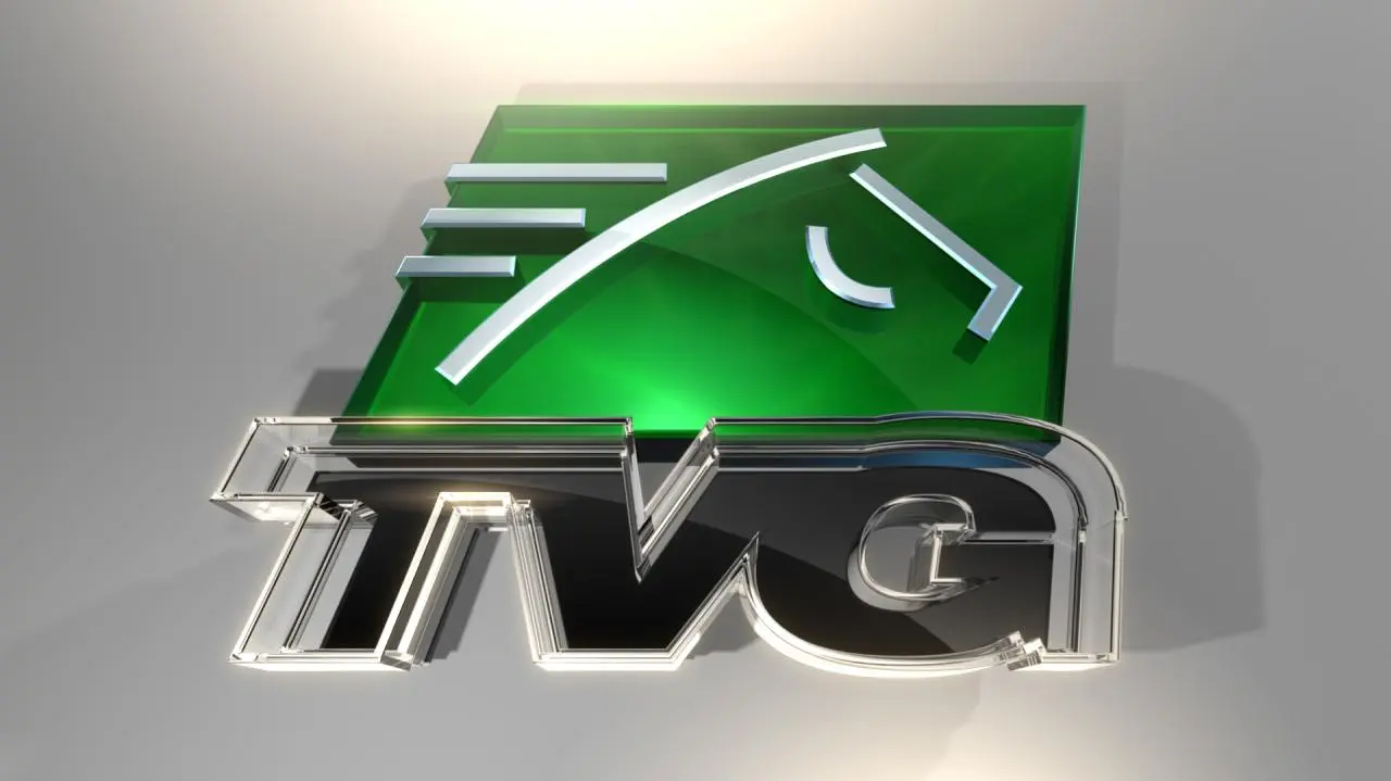 TVG Network: Year in Review 2014_peliplat