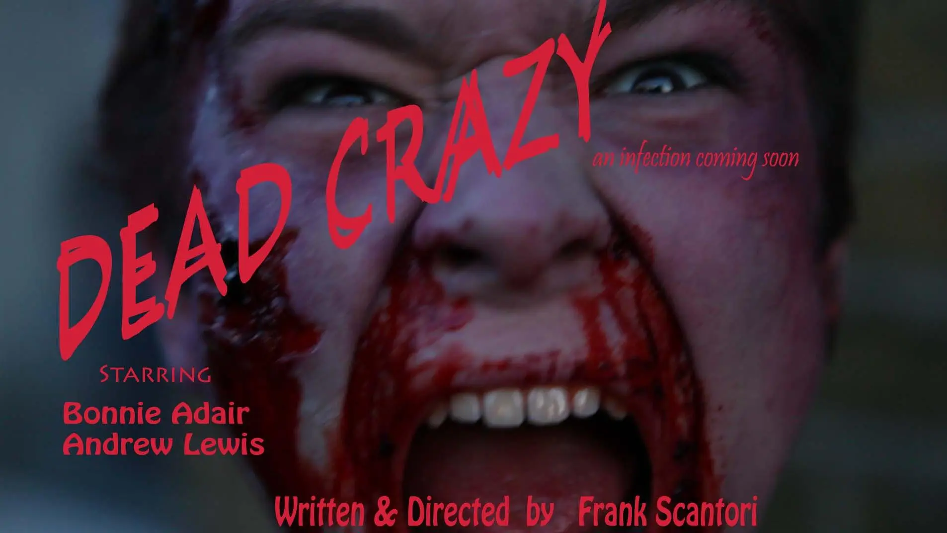 Dead Crazy_peliplat