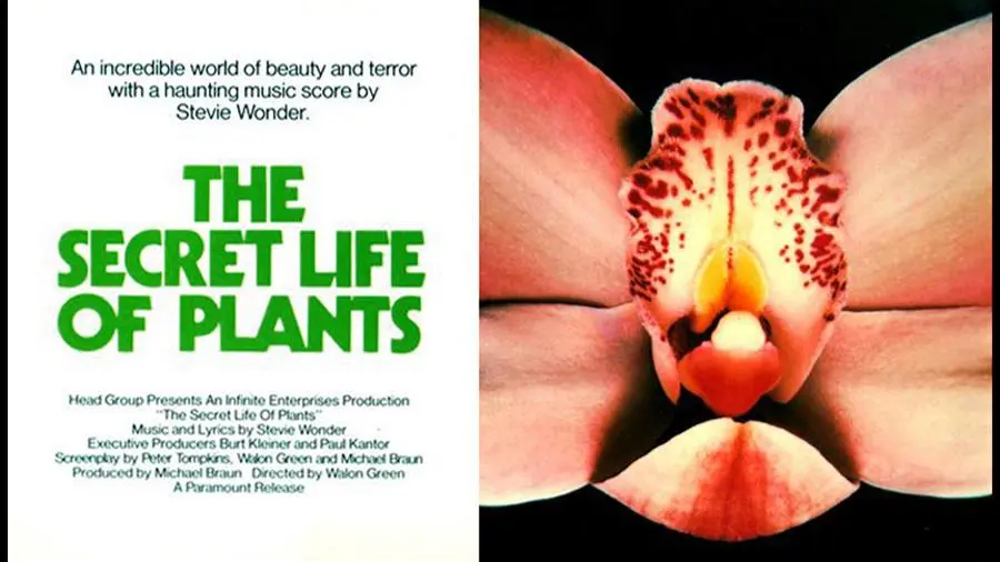 The Secret Life of Plants_peliplat