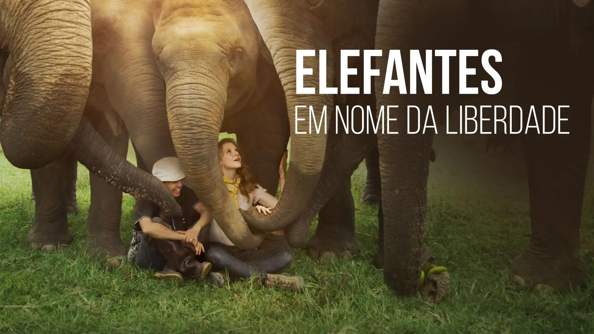 Love & Bananas: An Elephant Story_peliplat