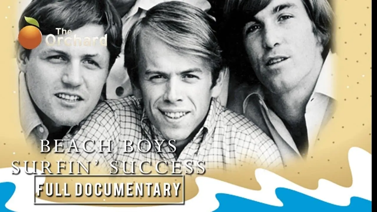 The Beach Boys: 25 Years Together_peliplat
