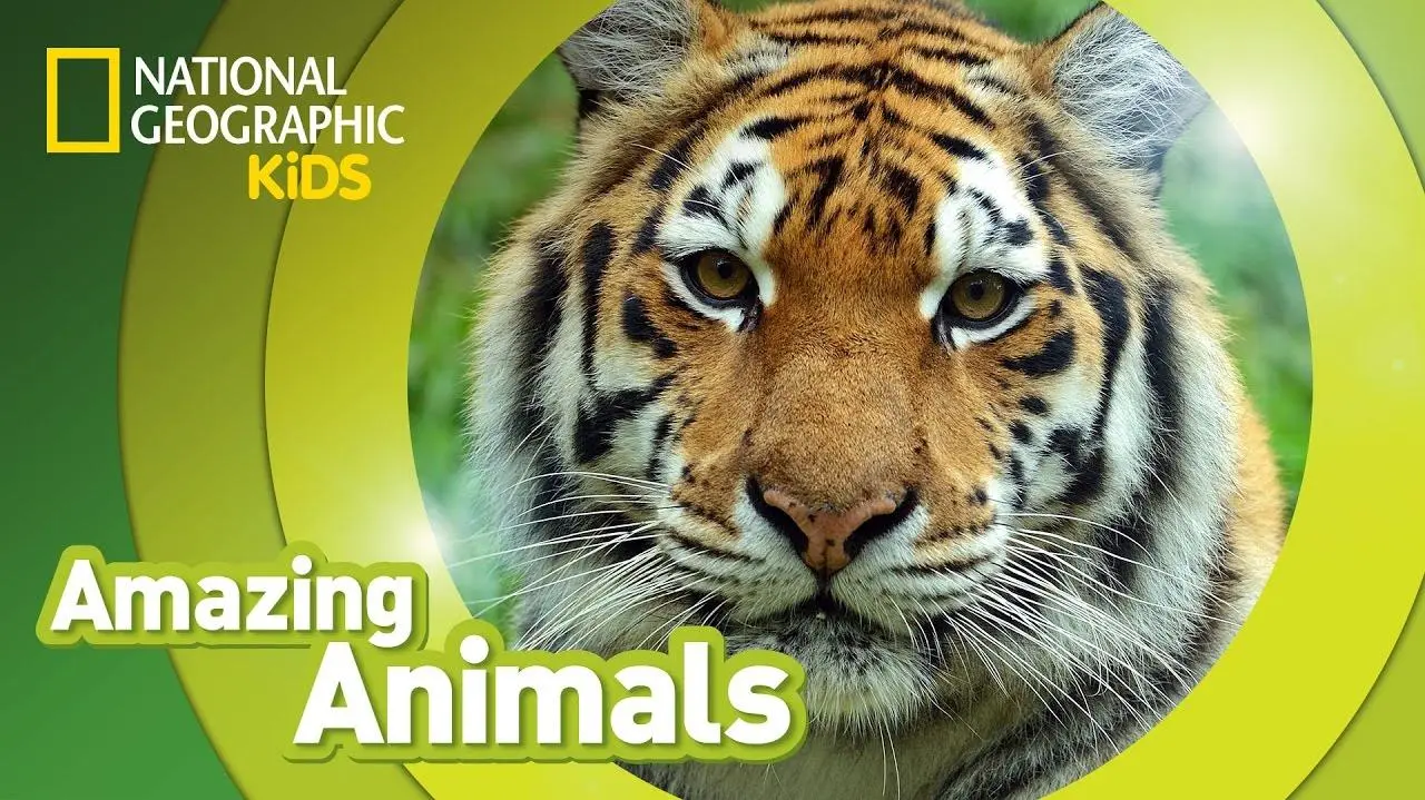 National Geographic: Amazing Animals_peliplat