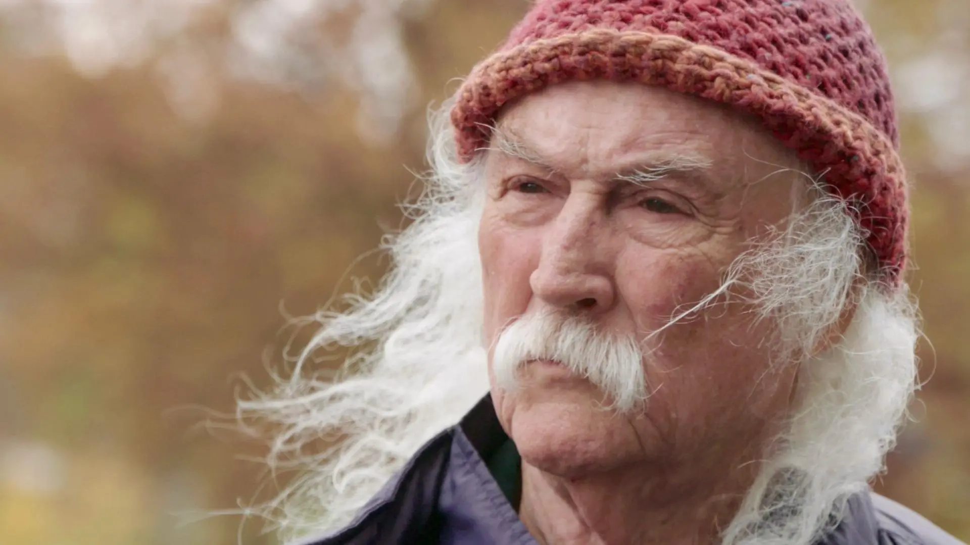 David Crosby: Remember My Name_peliplat