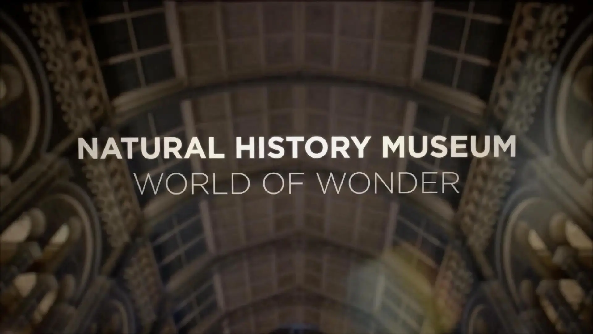 Natural History Museum: World of Wonder_peliplat