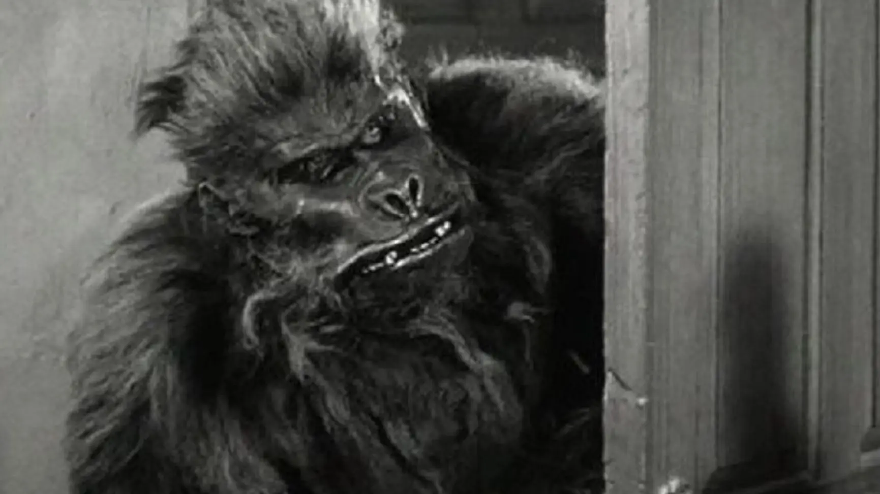 Bela Lugosi Meets a Brooklyn Gorilla_peliplat
