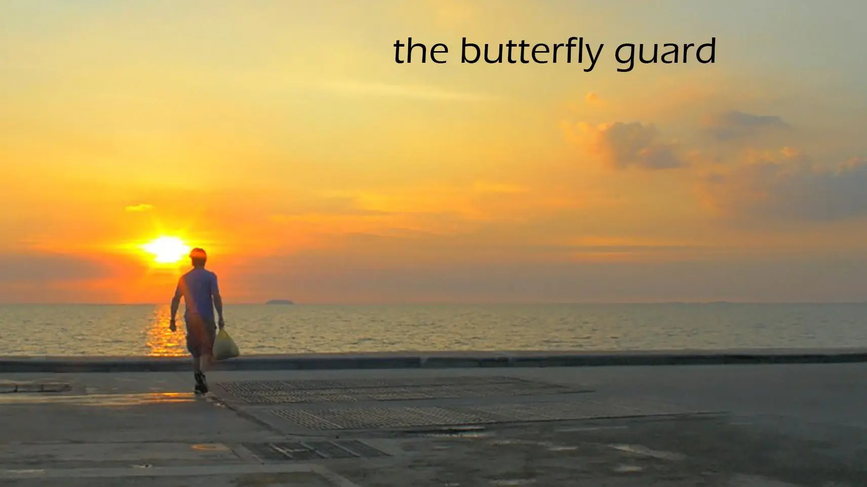 The Butterfly Guard_peliplat
