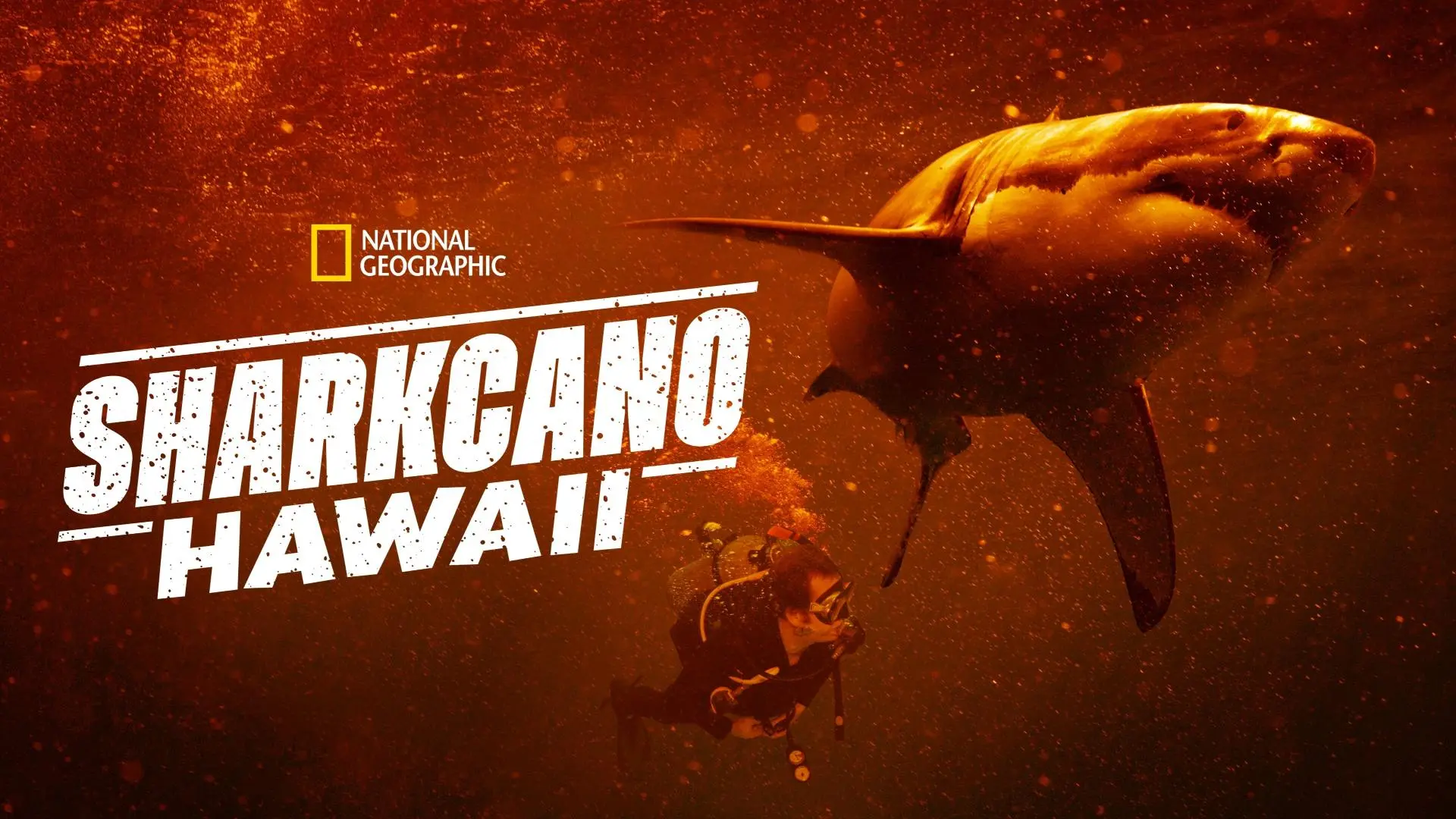 Sharkcano: Hawaii_peliplat