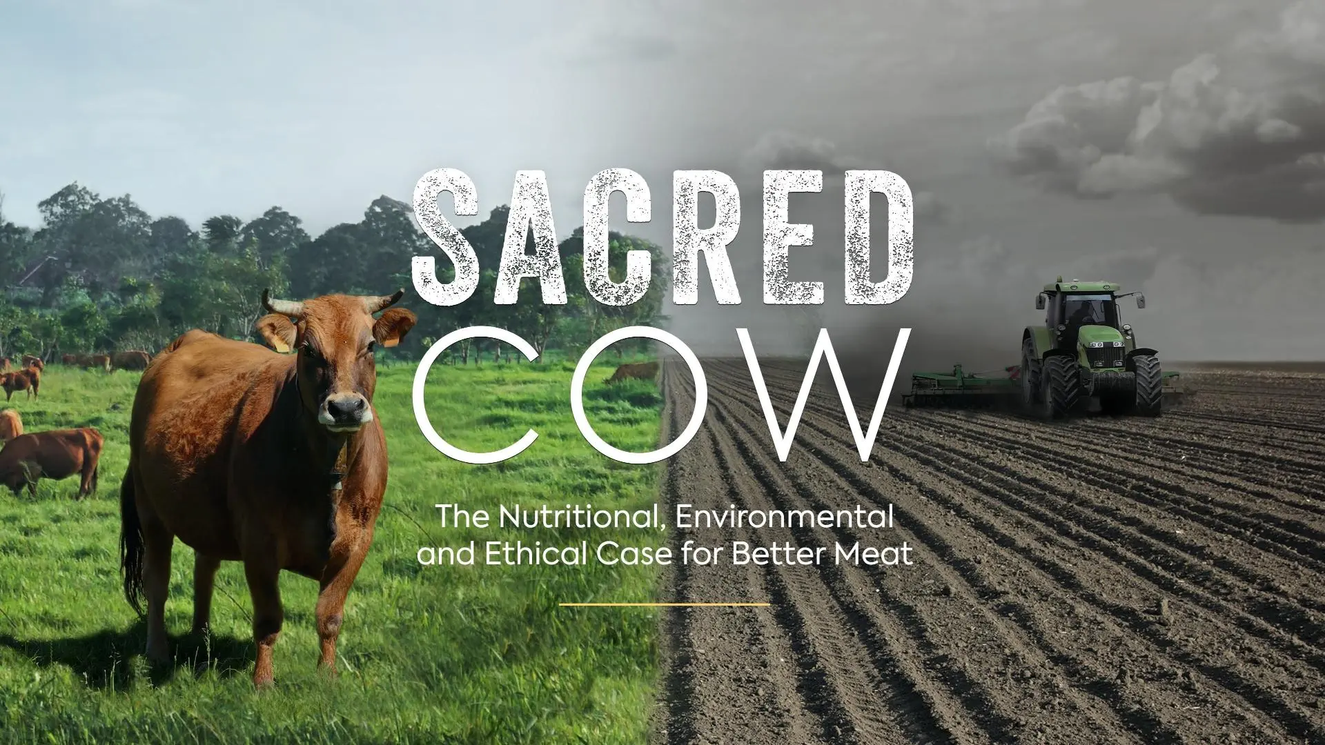 Sacred Cow: The Nutritional, Environmental and Ethical Case for Better Meat_peliplat