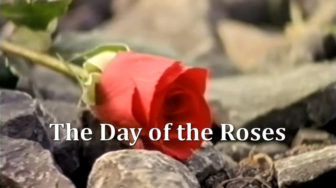 The Day of the Roses_peliplat