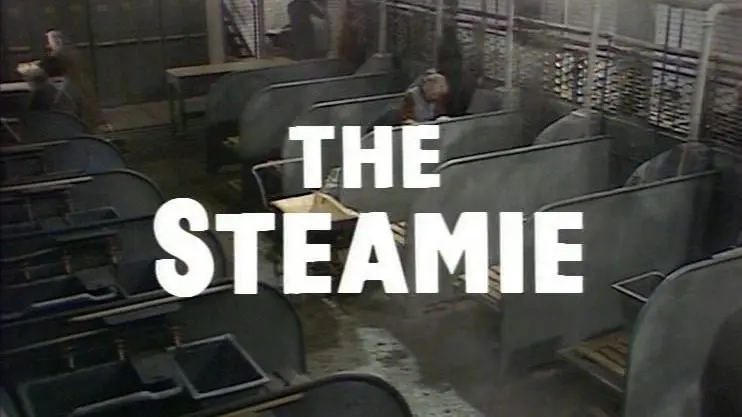 The Steamie_peliplat