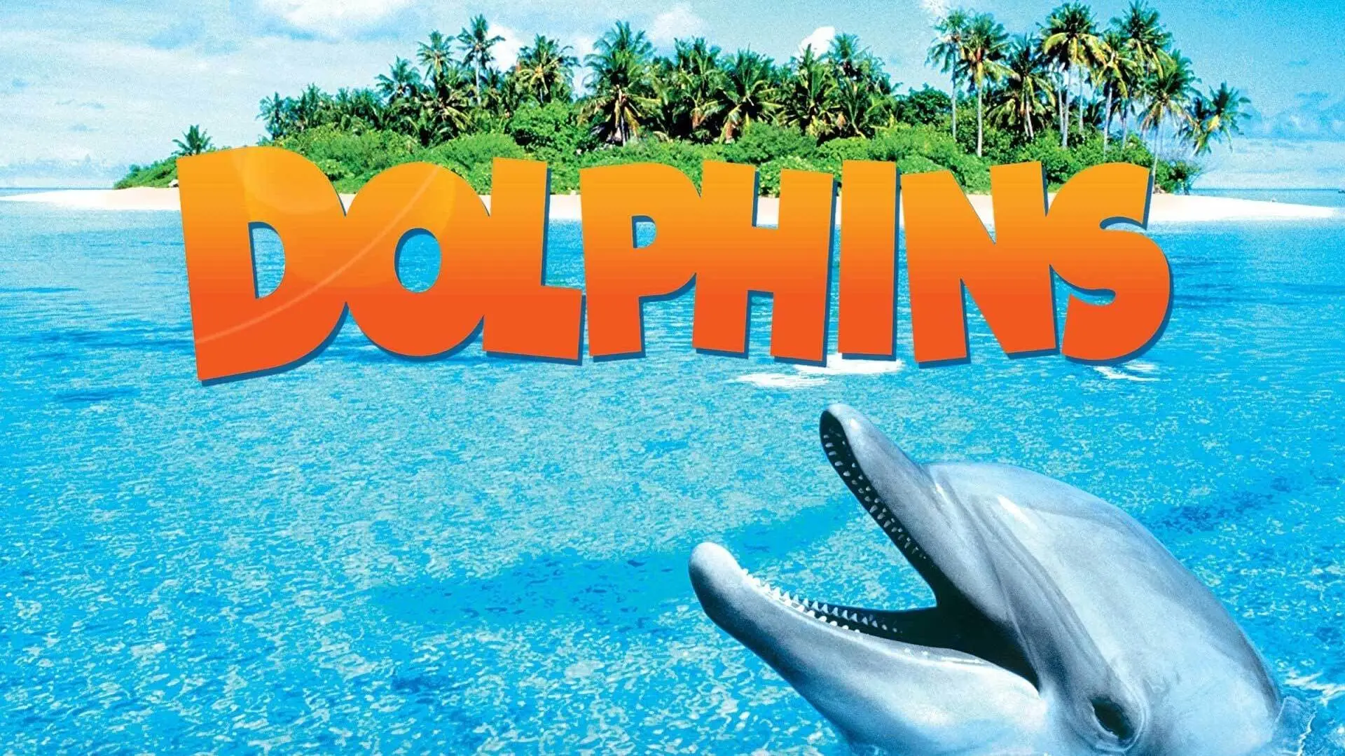 Dolphins_peliplat