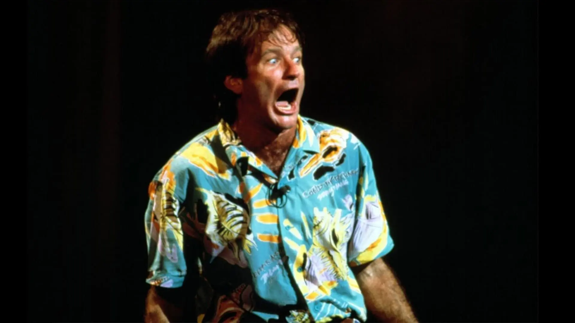Robin Williams: An Evening at the Met_peliplat