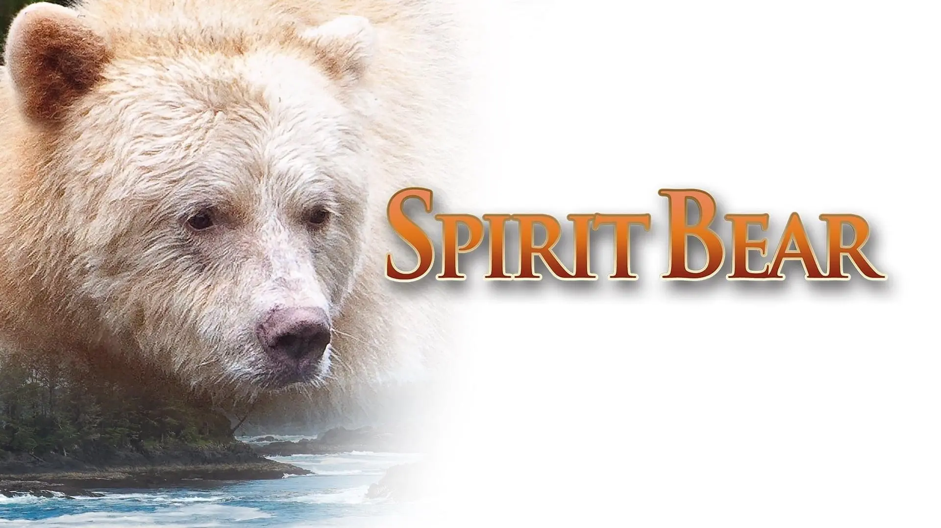 Spirit Bear: The Simon Jackson Story_peliplat