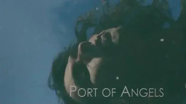 Port of Angels_peliplat