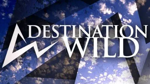 Destination Wild_peliplat