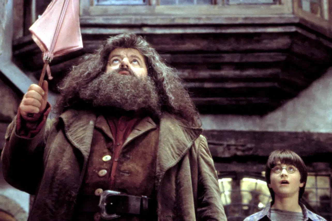 robbie coltrane hagrid daniel radcliffe harry potter