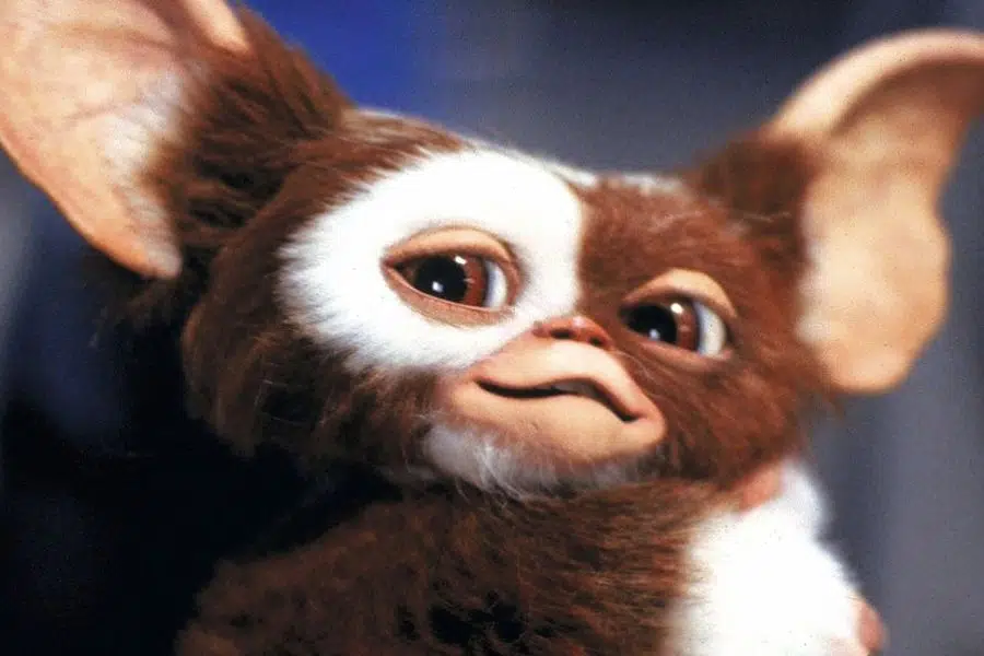 Gizmo también llegaría pronto a Multiversus - La Tercera