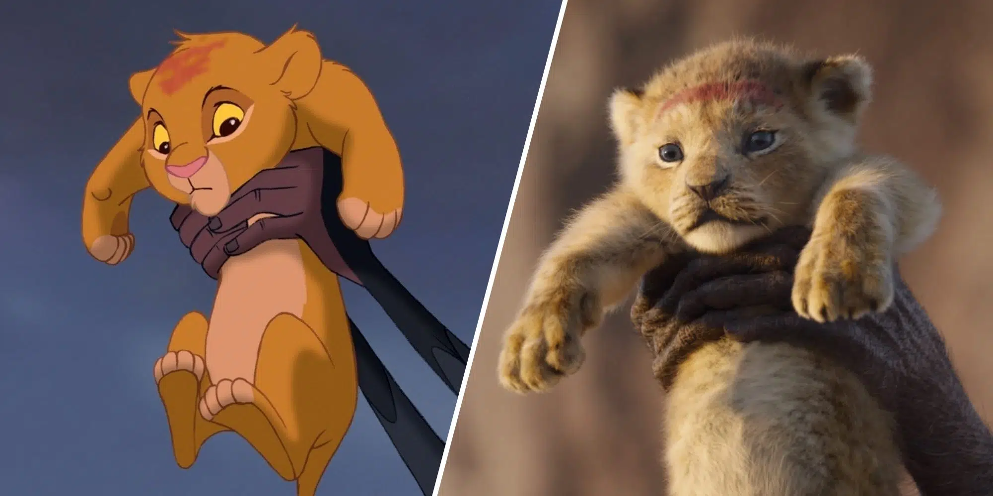 pañalero rey leon Gran venta - OFF 71%