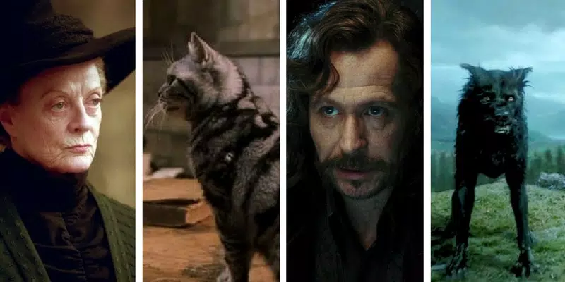 Che animagus saresti? Scoprilo con questo test!