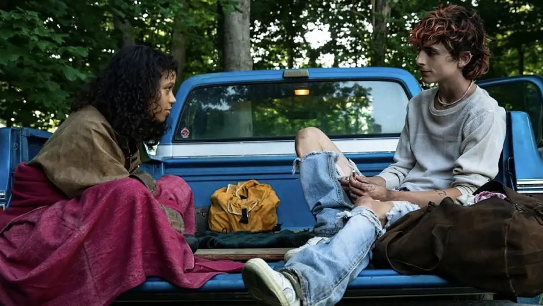 Bones and All”: Timothée Chalamet es un caníbal en el tráiler de la cinta  romántica de terror - Infobae