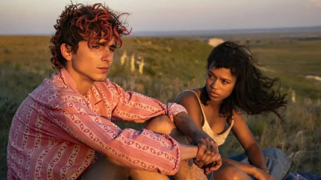 Bones and All”: qué dice la crítica sobre la próxima película de Timothée  Chalamet - Infobae