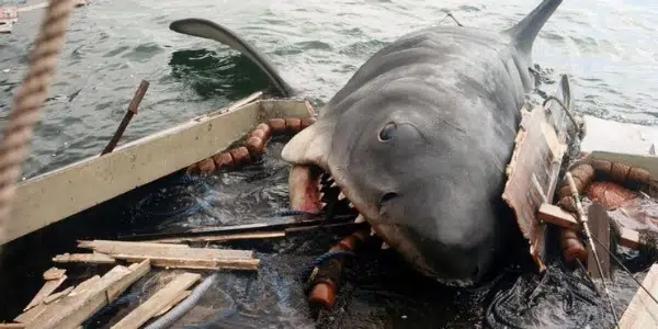 CINE: 10 datos que no sabías sobre el rodaje de “Tiburón” (JAWS) | La  Verdad Noticias