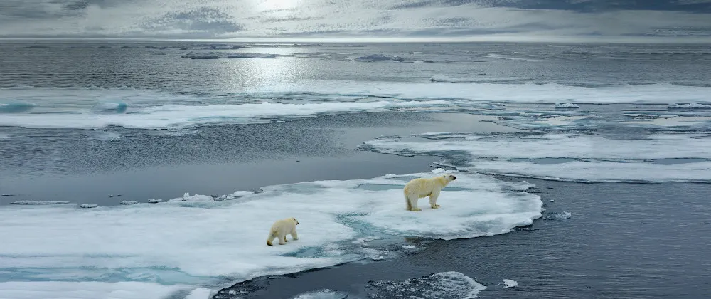 La verdad incómoda · el cambio climático - Real Academia Europea de Doctores
