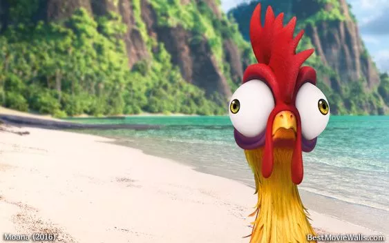 HeiHei - there's no one upstairs, the lights are off :] HD here:  www.bestmoviewalls.com/directo… | Moana, Disney art, Cute disney