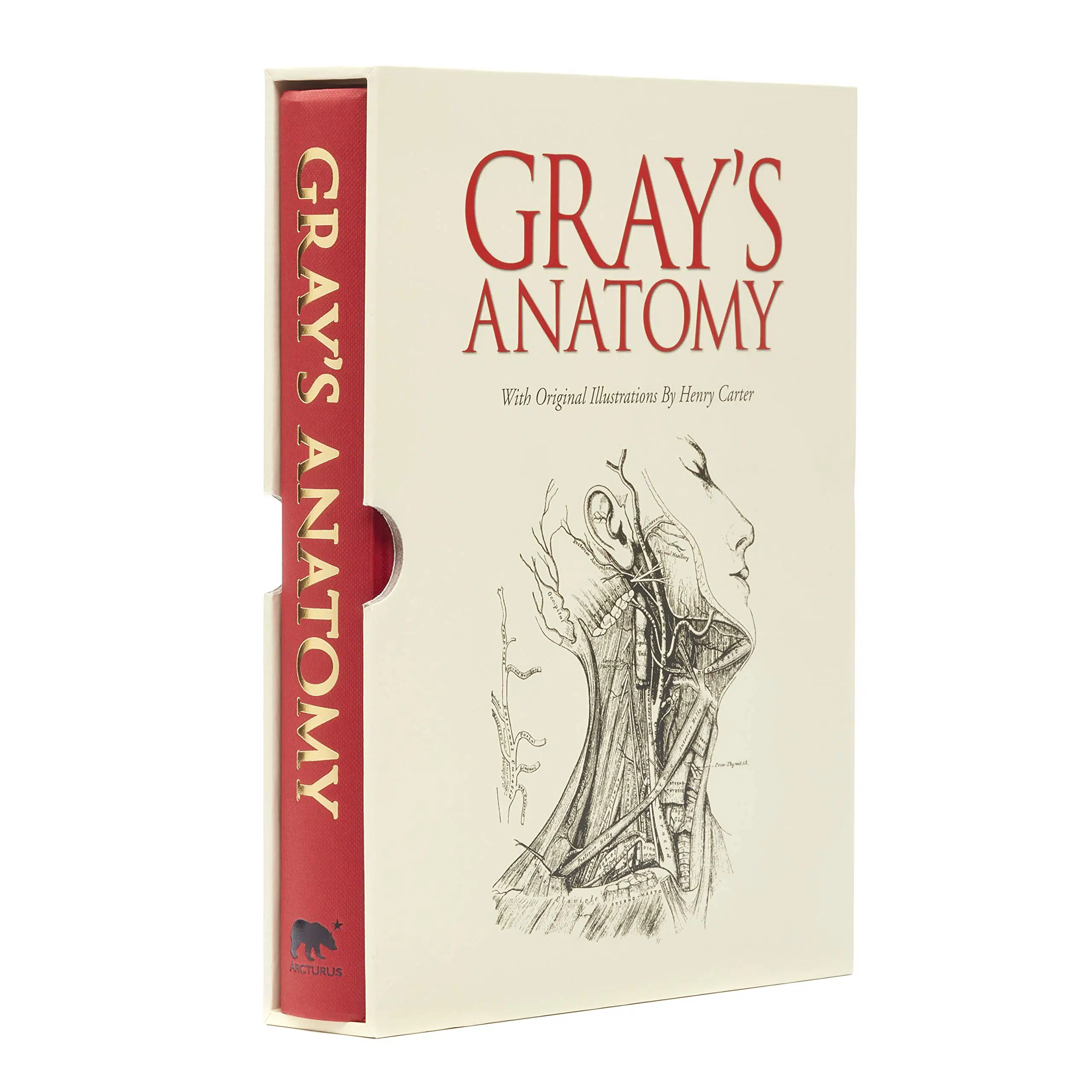 Amazon.com: Gray's Anatomy: Slip-case Edition: 8601200705270: Gray, Henry:  Libros