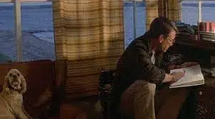 Backtothemovies - Jaws fact: Chief Brody's dog in the... | Facebook