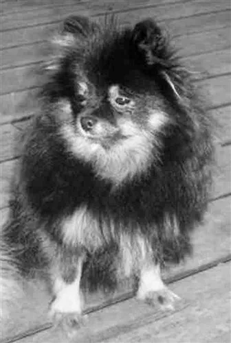 Image description