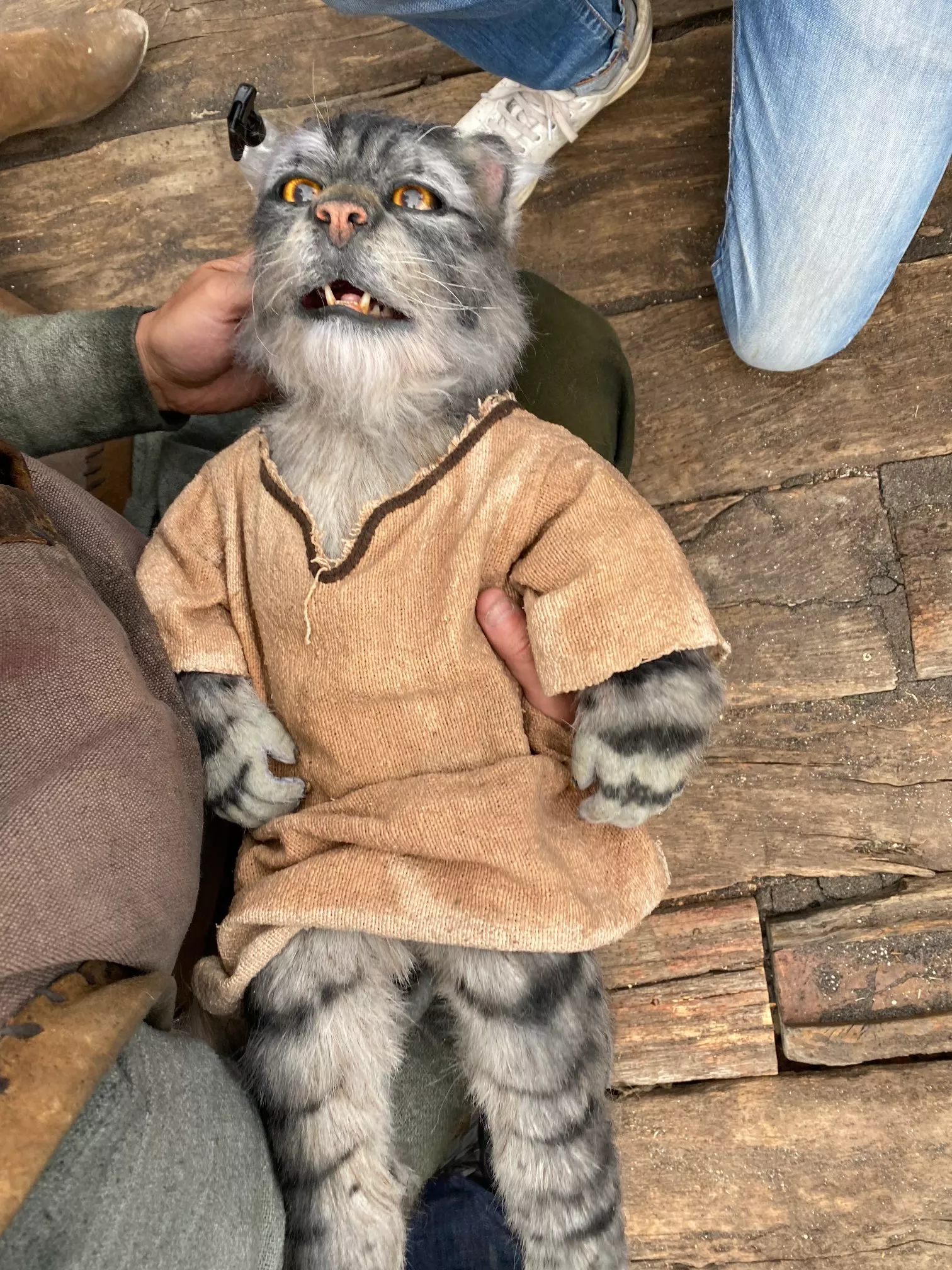 A Tabaxi baby which looks distressing