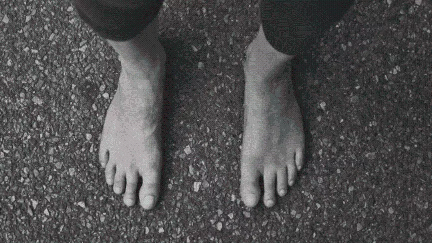 Frances Ha