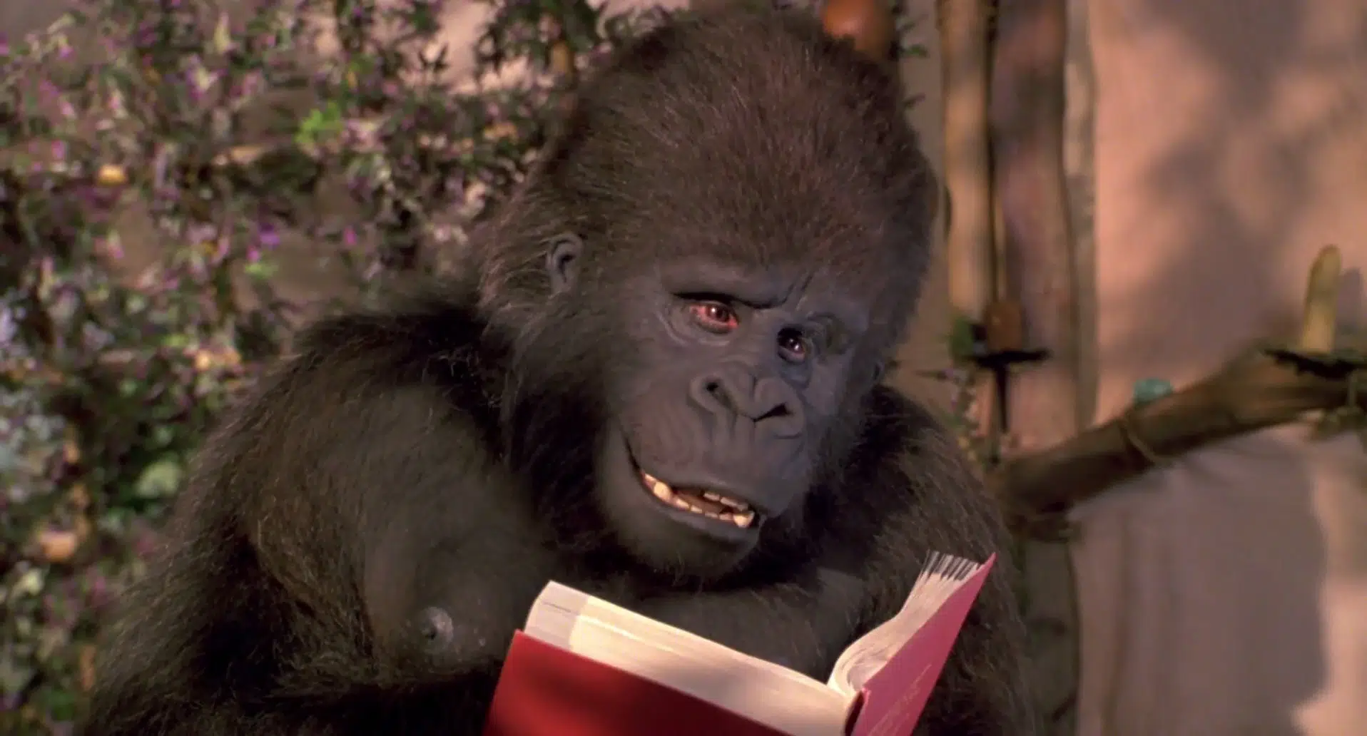 El gorila interpretado por John Cleese da algo así como un aspecto más serio a la película….