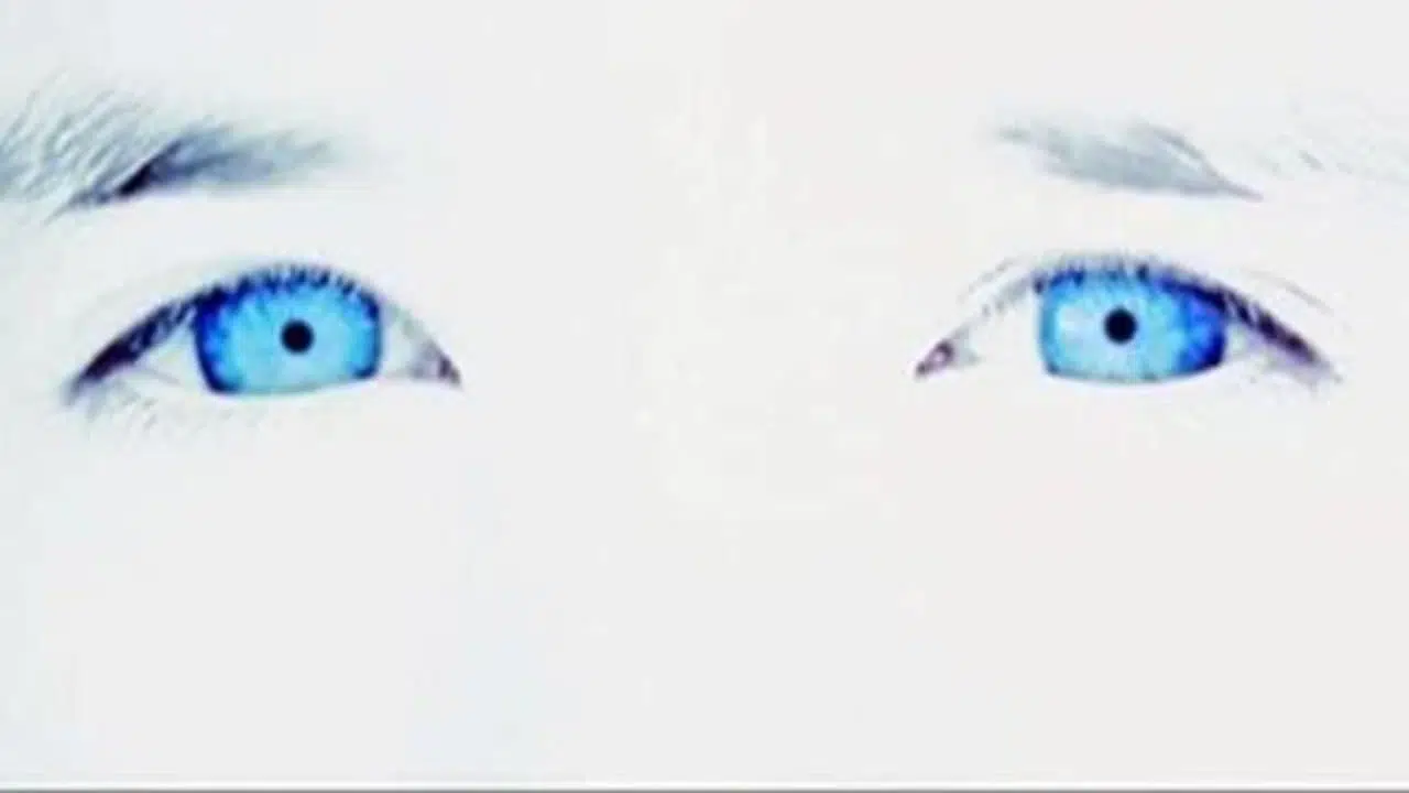 A.I. Inteligencia Artificial