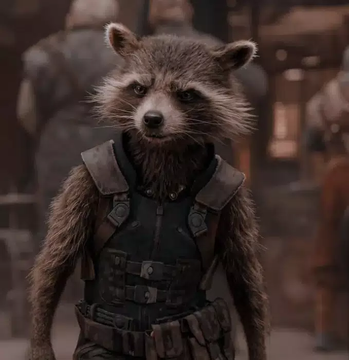 A raccoon in a garment

Description automatically generated