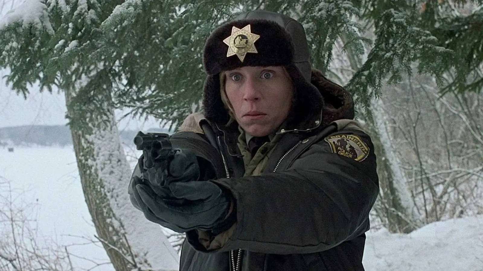 The Untold Truth Of Fargo