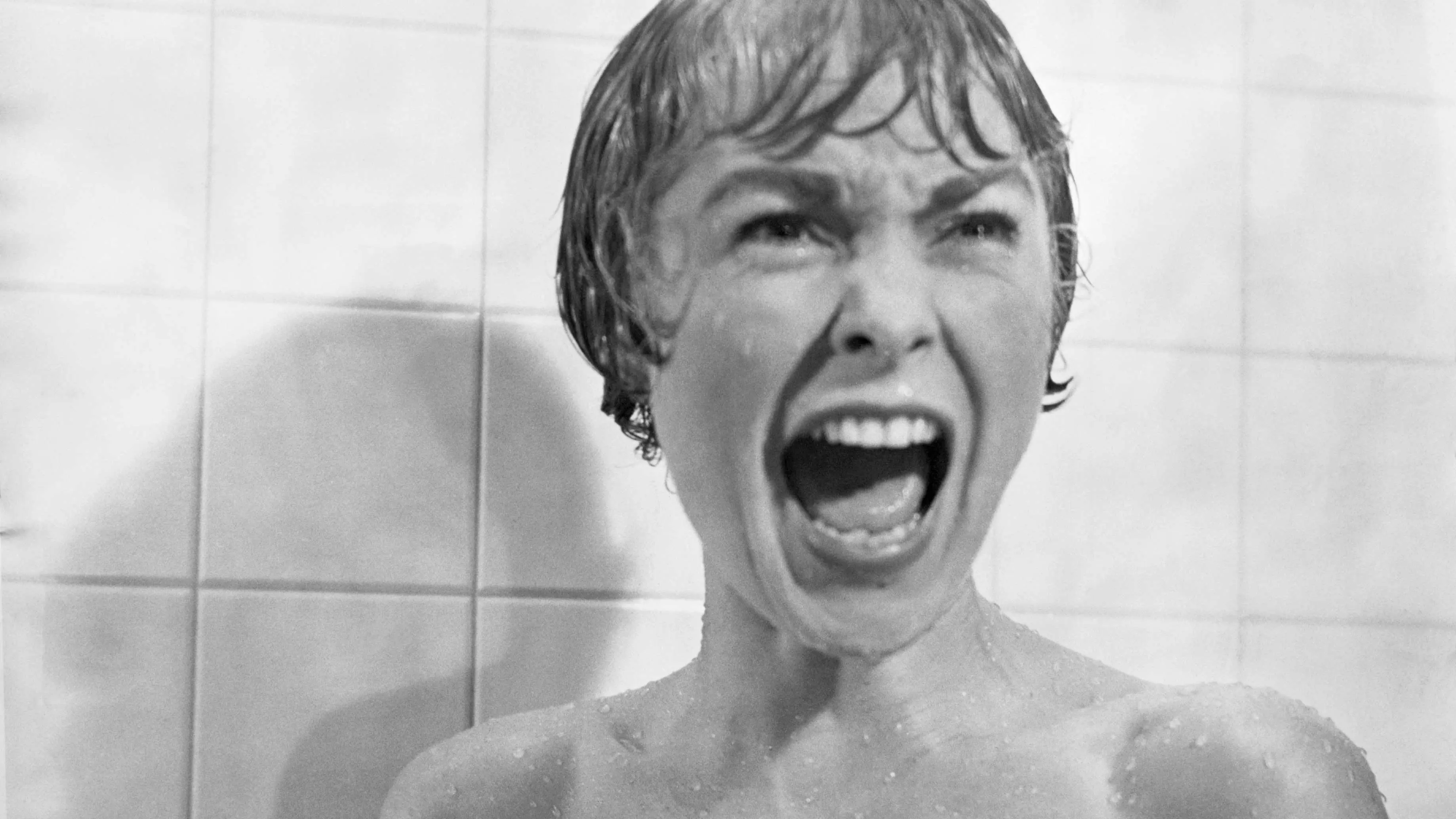 Psycho's Shower Scene: How Hitchcock Upped the Terror—and Fooled the  Censors | HISTORY