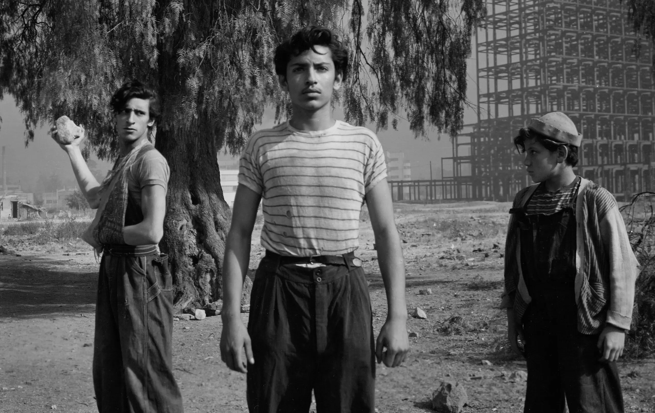 Los olvidados' de Luis Buñuel: “Uno menos, así irán cayendo todos, ¡Ojalá  los mataran a todos antes de nacer!” - MAKMA