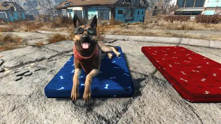 （Dogmeat in the game）