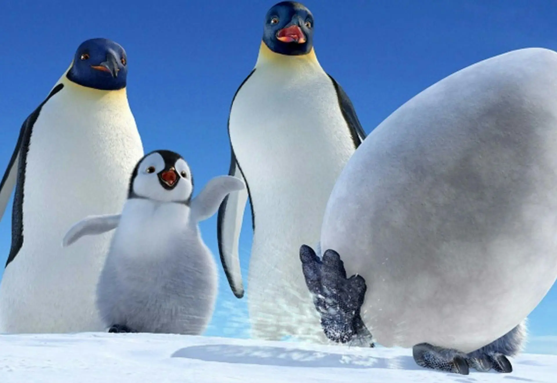 Happy Feet - CHIFF