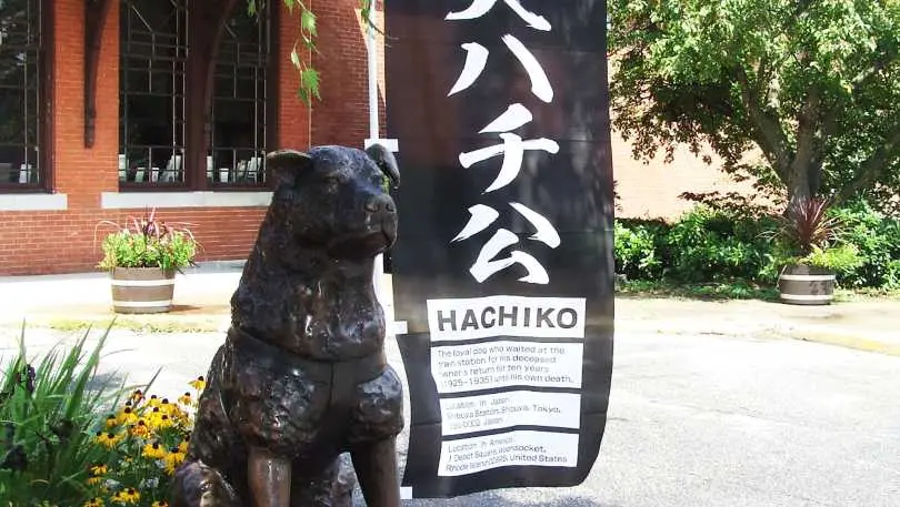 Hachiko Statue | Woonsocket, RI 02895