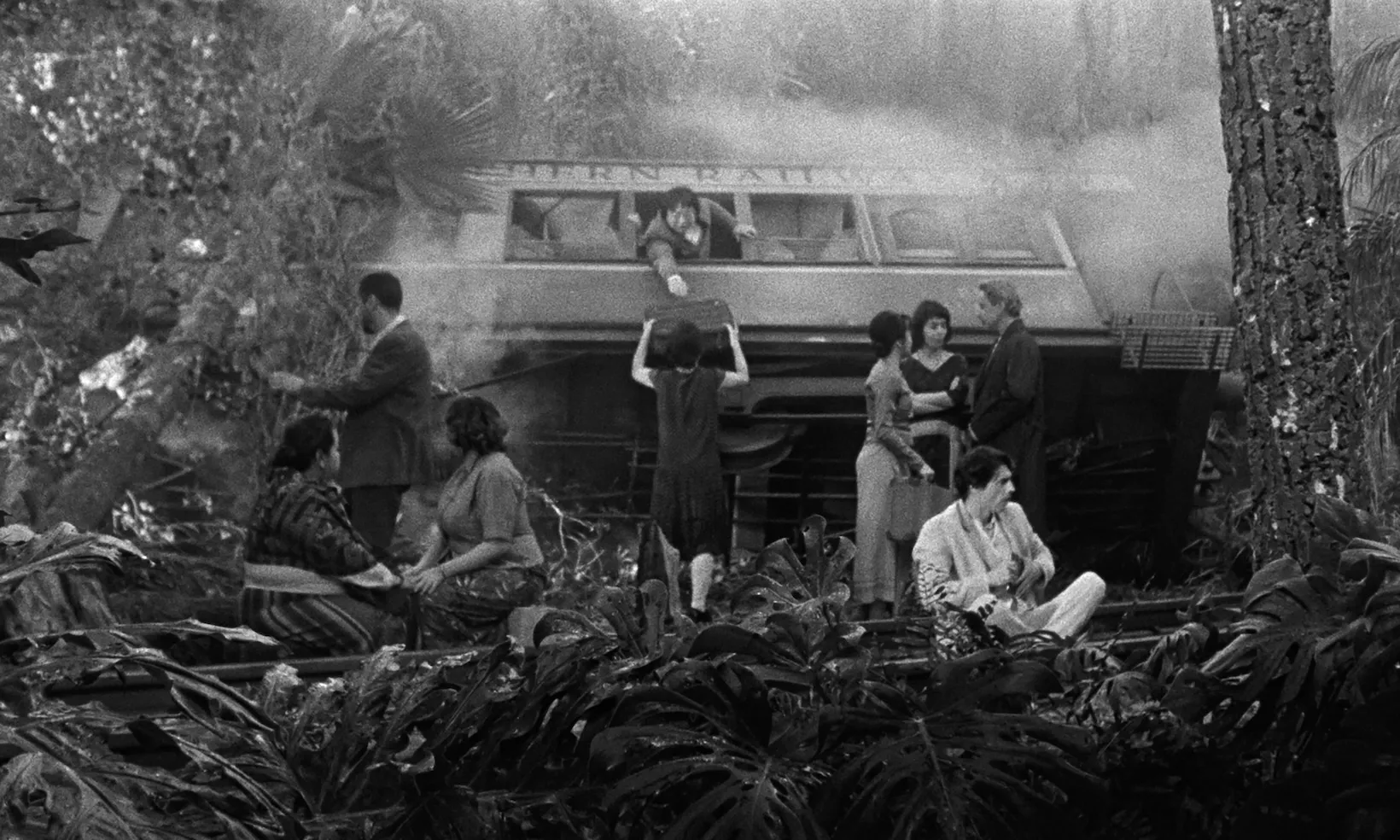 Image description