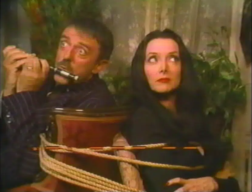 HALLOWEEN WITH THE NEW ADDAMS FAMILY (1977) Reviews - MOVIES and MANIA