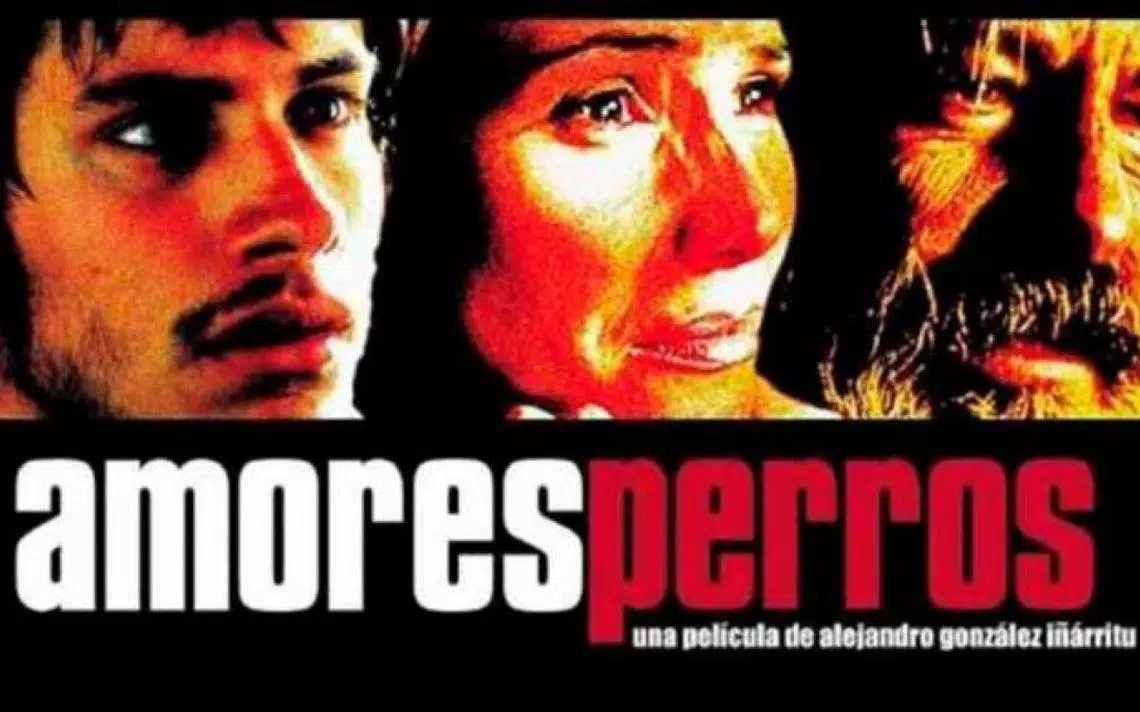 Amores perros